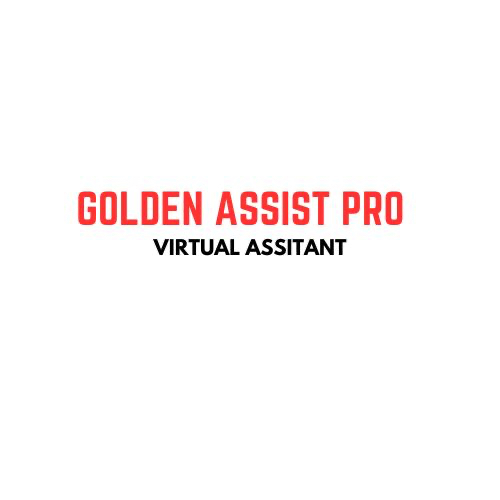 Dragon Assist Pro